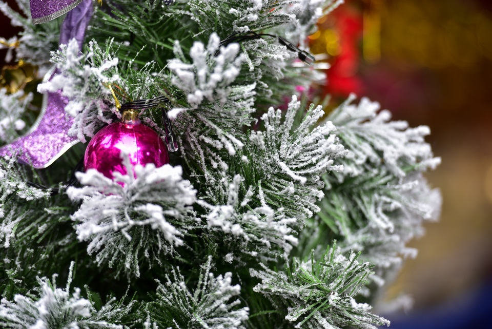 Cây thông Noel giá chục triệu đắt hàng trước lễ Giáng sinh - 9 Cây thông Noel giá chục triệu đắt hàng trước lễ Giáng sinh - 9