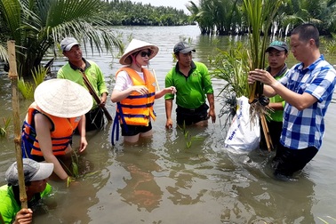 Thú vị với trải nghiệm tour du lịch trồng dừa nước ở Hội An