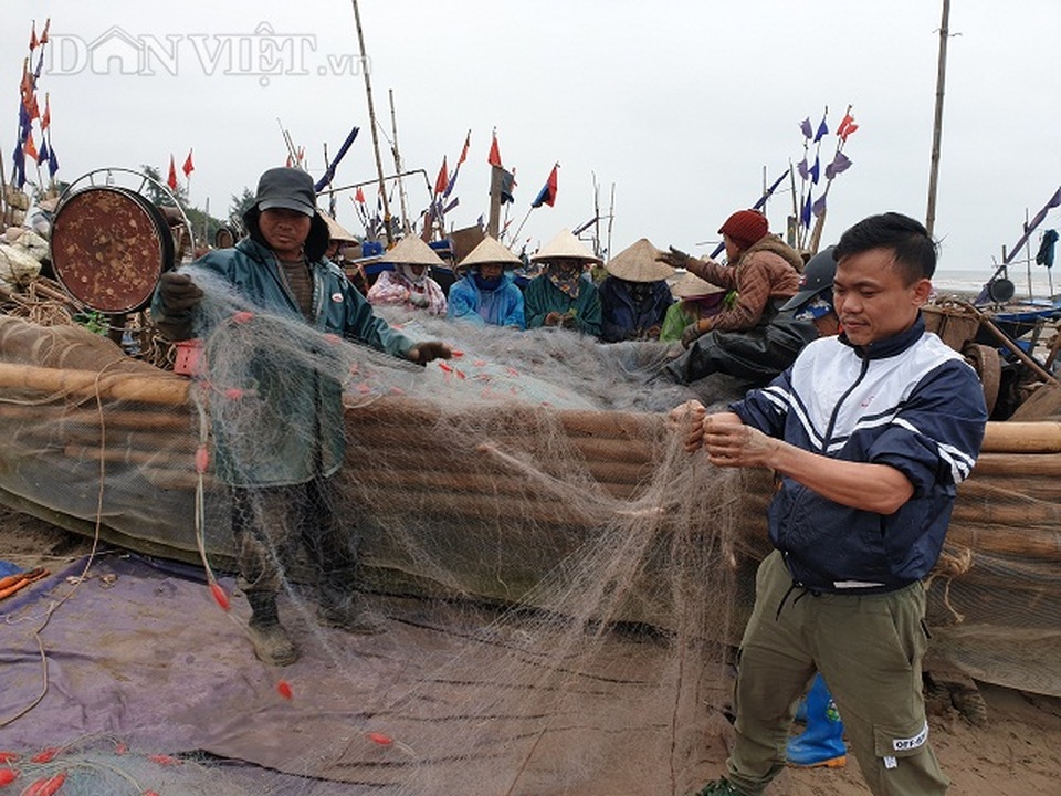 Nam Định: Ra biển kéo lưới trúng đậm tôm hung dữ toàn con to bự - 2 Nam Định: Ra biển kéo lưới trúng đậm tôm hung dữ toàn con to bự - 2