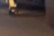 "Quái xế" bốc đầu xe, rú ga náo loạn phố bị phạt 10 triệu đồng