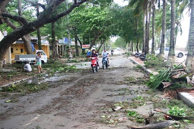 Bạn đọc gửi ảnh: Hải Phòng sau bão
