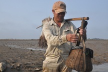 Người đàn ông 30 năm lội bùn lầy săn cá thòi lòi