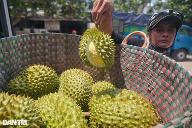 Nắng nóng, sầu riêng Thái mất mùa, giá cao kỷ lục