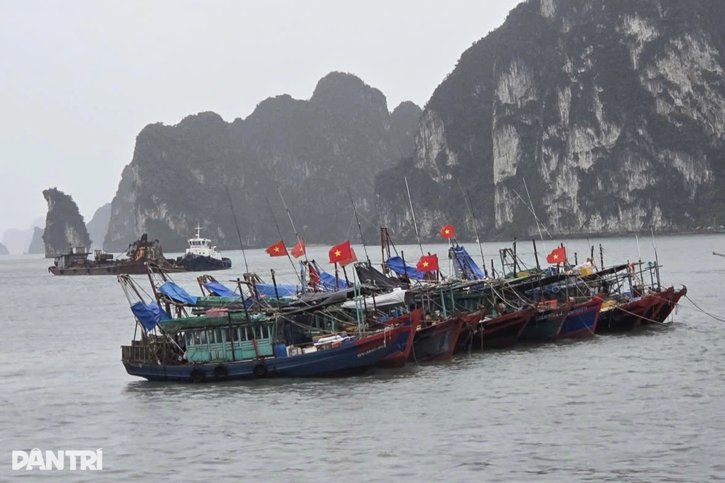 Bão Matmo suy yếu, Quảng Ninh sáng nay mưa gió nhẹ - 3 Bão Matmo suy yếu, Quảng Ninh sáng nay mưa gió nhẹ - 3
