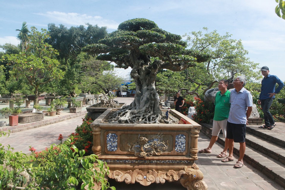 “Chấn động” tác phẩm 28 tỷ đồng được “biến hóa” từ ngọn cây tưởng bỏ đi - 4 “Chấn động” tác phẩm 28 tỷ đồng được “biến hóa” từ ngọn cây tưởng bỏ đi - 4
