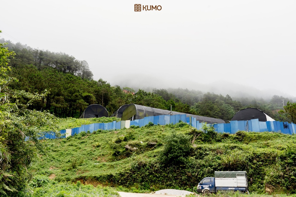 Những lý do khiến bạn thích ăn nấm hơn ăn thịt - 3 Những lý do khiến bạn thích ăn nấm hơn ăn thịt - 3