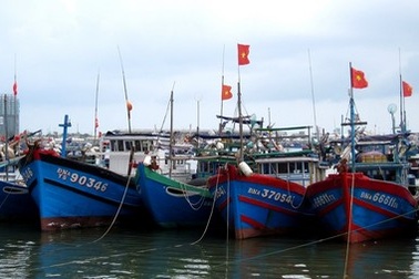 Đà Nẵng kêu gọi tàu thuyền tránh bão Bopha  