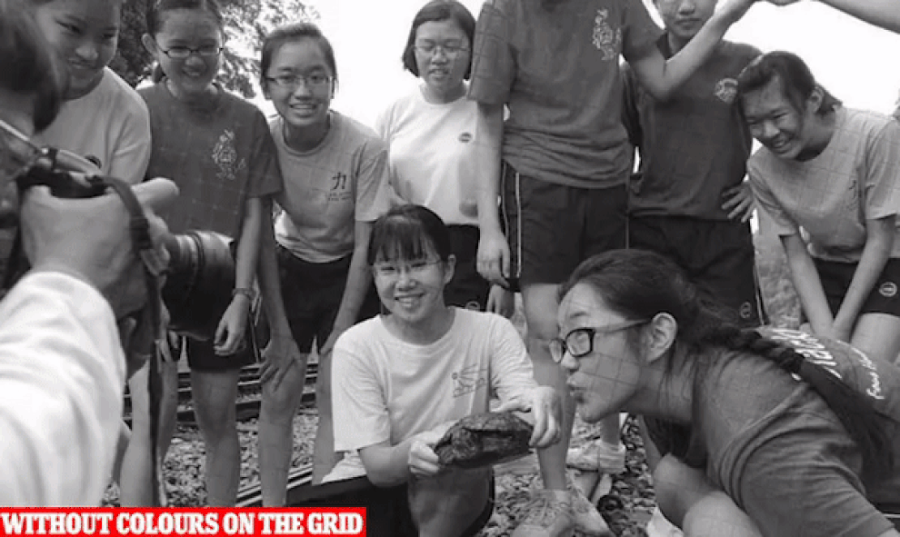 Bức ảnh đang gây sốt là ảnh đen trắng hay ảnh màu? - 1