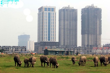 Thị trường chứng minh: Bất động sản bắt đầu đổ vỡ