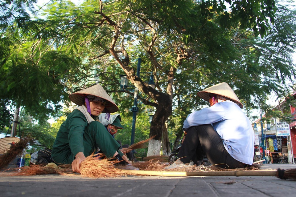 Hàng phượng vĩ xanh được “bảo lãnh” bởi khung thép ở Bãi Cháy - Hạ Long - 5 Hàng phượng vĩ xanh được “bảo lãnh” bởi khung thép ở Bãi Cháy - Hạ Long - 5