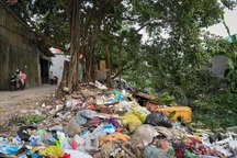 Hà Nội: Con ngõ dài 200m ngập trong rác khiến người dân khốn khổ