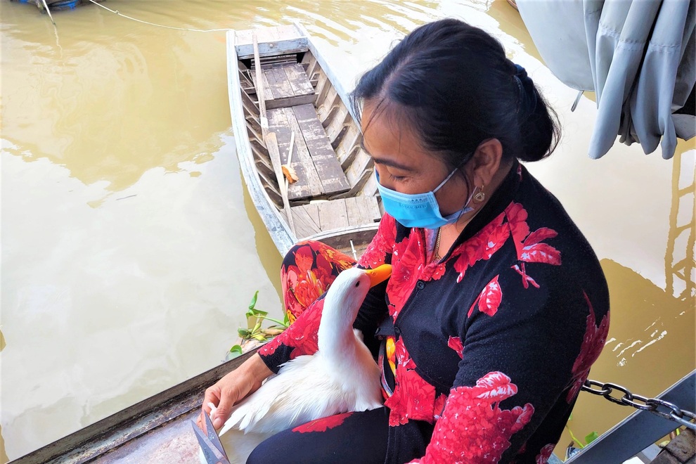 Chú vịt thông minh chỉ ăn thức ăn người nhà cho, không ăn của người lạ - 2 Chú vịt thông minh chỉ ăn thức ăn người nhà cho, không ăn của người lạ - 2