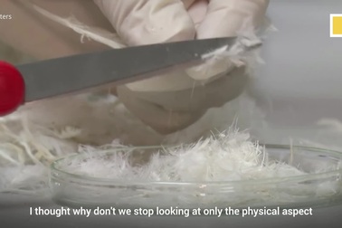 Chàng trai Thái Lan chế biến món ăn từ lông gà.