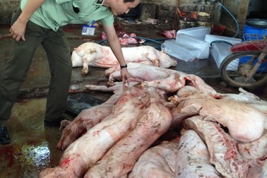 Phát hiện 2 cơ sở giết mổ heo lậu