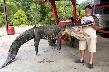 Vật lộn gần một tiếng để tóm cá sấu khổng lồ dài 4,2m, nặng 300kg trên sông