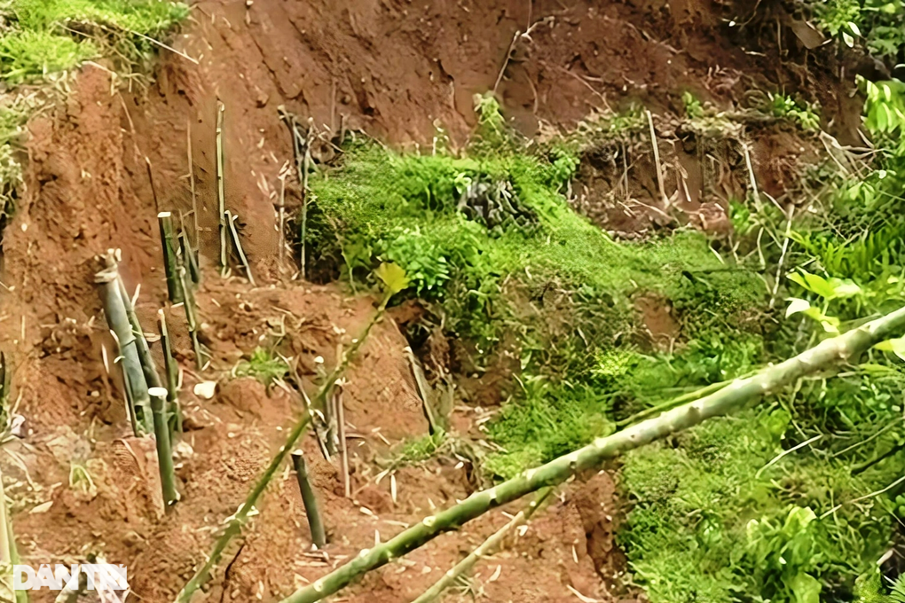 Vết nứt lớn cắt ngang quả đồi, đe dọa tính mạng nhiều hộ dân - 1