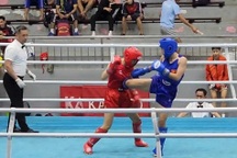 Võ sĩ Nguyễn Quang Huy đánh bán kết giải Kickboxing toàn quốc