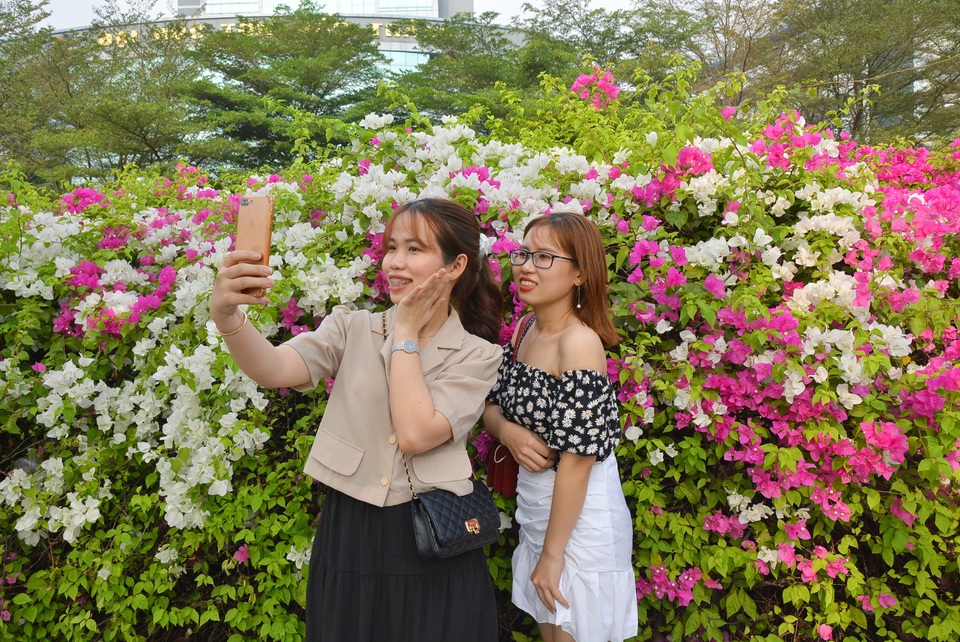 Giới trẻ tha hồ sống ảo bên tường hoa giấy cực đẹp ở Sài Gòn - 12 Giới trẻ tha hồ sống ảo bên tường hoa giấy cực đẹp ở Sài Gòn - 12