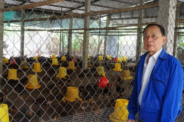 Lão nông Tiền Giang giúp hàng xóm khá lên nhờ giống gà... đặc chủng