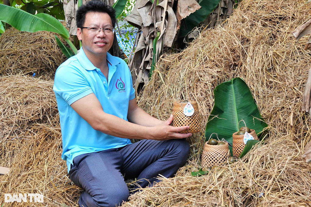 Bí quyết cho ốc ngủ gác bếp liền 3 tháng, thu lãi hàng trăm triệu đồng - 1 Bí quyết cho ốc ngủ gác bếp liền 3 tháng, thu lãi hàng trăm triệu đồng - 1