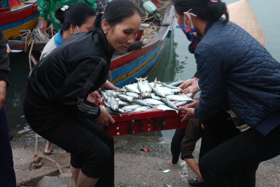 Vươn khơi ngày Rằm tháng Giêng, ngư dân trúng lộc biển - 4 Vươn khơi ngày Rằm tháng Giêng, ngư dân trúng lộc biển - 4