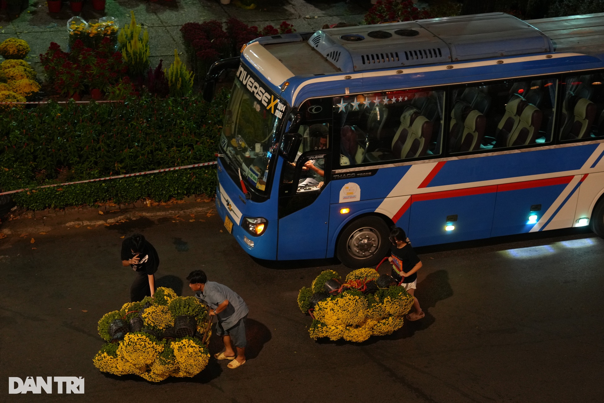Tiểu thương co ro trong đêm lạnh, mong bán hết hoa để về nhà ăn Tết - 6 Tiểu thương co ro trong đêm lạnh, mong bán hết hoa để về nhà ăn Tết - 6