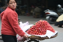 Ngã rẽ nào cho những cảnh đời… “rong”?