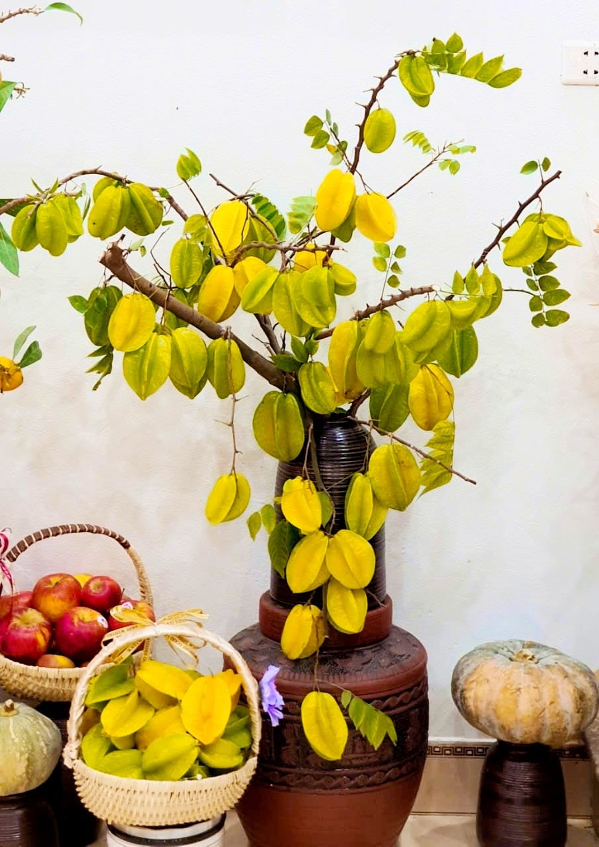 Cô giáo gây sốt với bình quả từ nguyên liệu “xin dọc đường” - 4 Cô giáo gây sốt với bình quả từ nguyên liệu “xin dọc đường” - 4