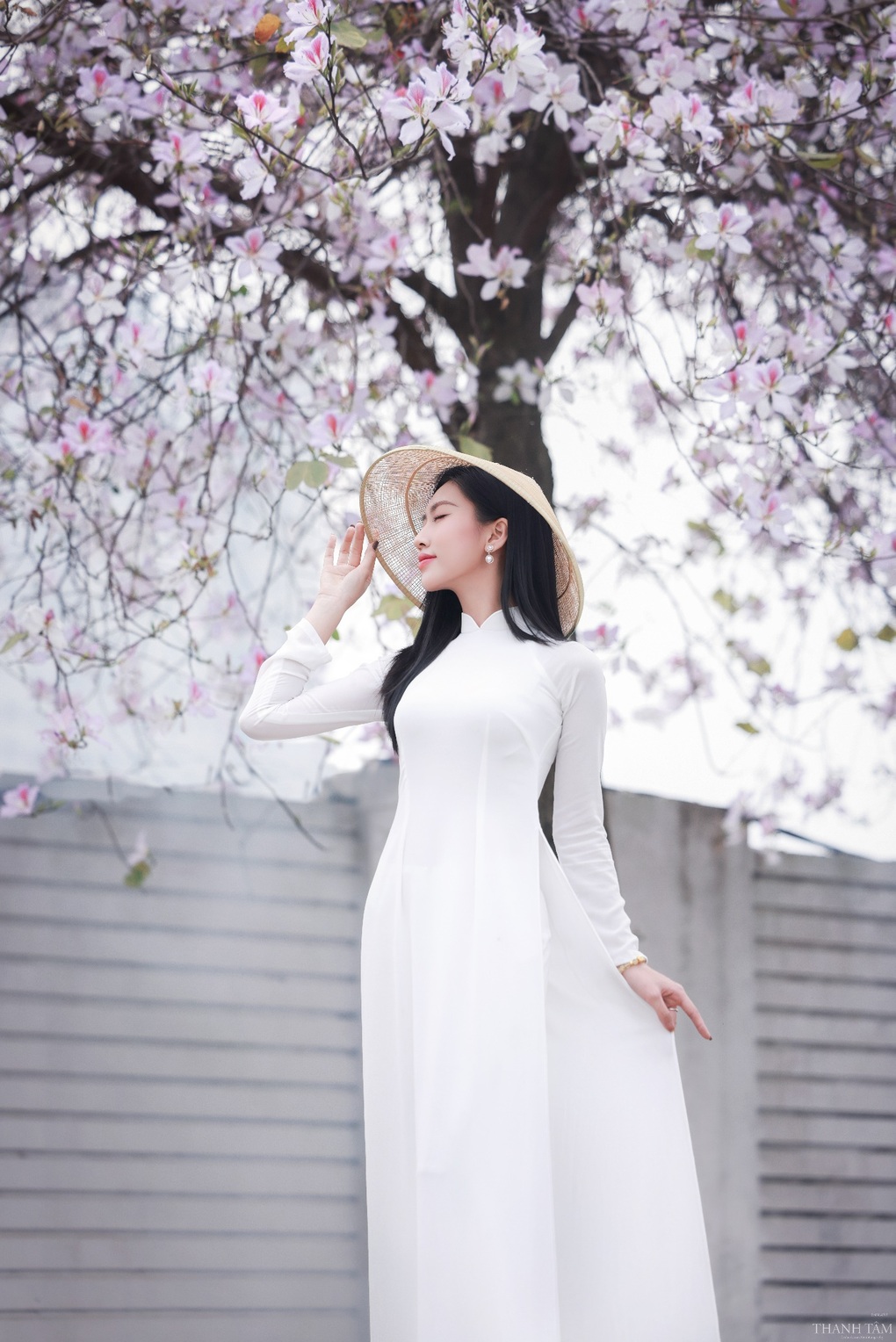 Dạo bước dưới hàng hoa ban thơ mộng ở Thủ đô - 6 Dạo bước dưới hàng hoa ban thơ mộng ở Thủ đô - 6