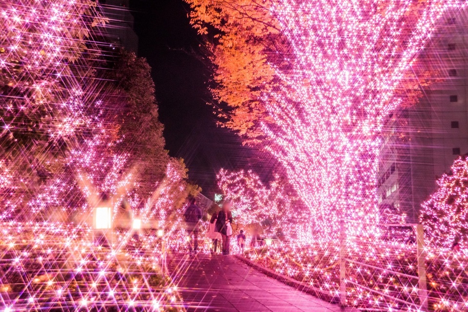 Những lễ hội ánh sáng mùa đông đẹp nhất Tokyo - 6 Những lễ hội ánh sáng mùa đông đẹp nhất Tokyo - 6