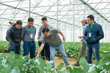 Hợp tác với Vineco, hơn 800 hộ nông dân tham gia chuỗi sản xuất nông sản sạch