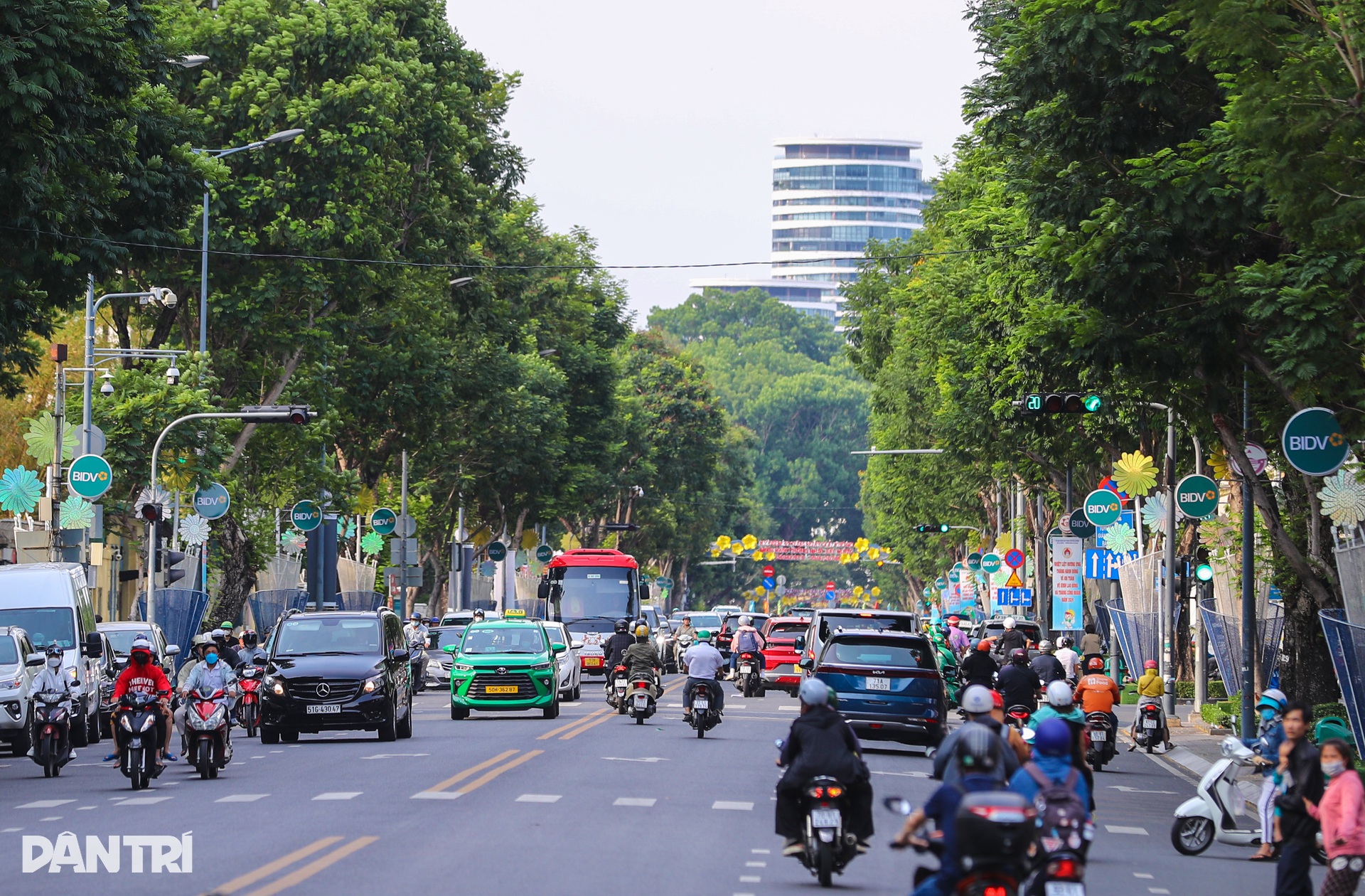 Đi qua những con đường xanh mướt ở TPHCM - 7 Đi qua những con đường xanh mướt ở TPHCM - 7