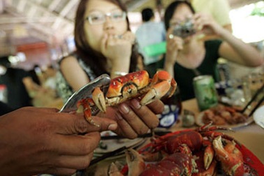 Bảo vệ sinh thái, Cù lao Chàm cấm kinh doanh Cua đá