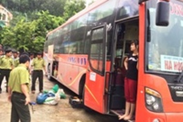 Bắt giữ hàng chục cá thể động vật rừng giấu trong xe khách