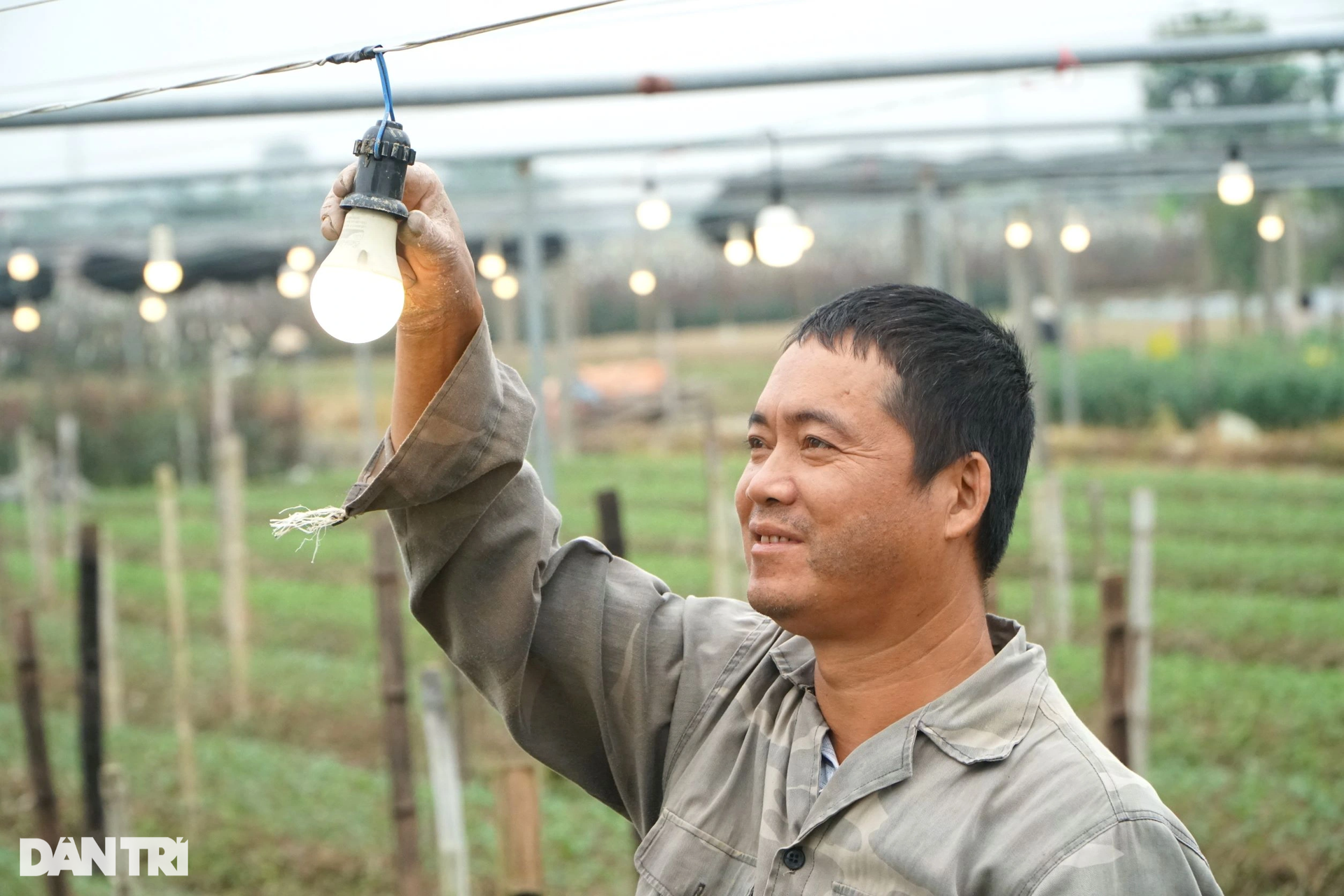 Nông dân vùng trồng hoa lớn nhất xứ Thanh tất bật vụ Tết - 8 Nông dân vùng trồng hoa lớn nhất xứ Thanh tất bật vụ Tết - 8