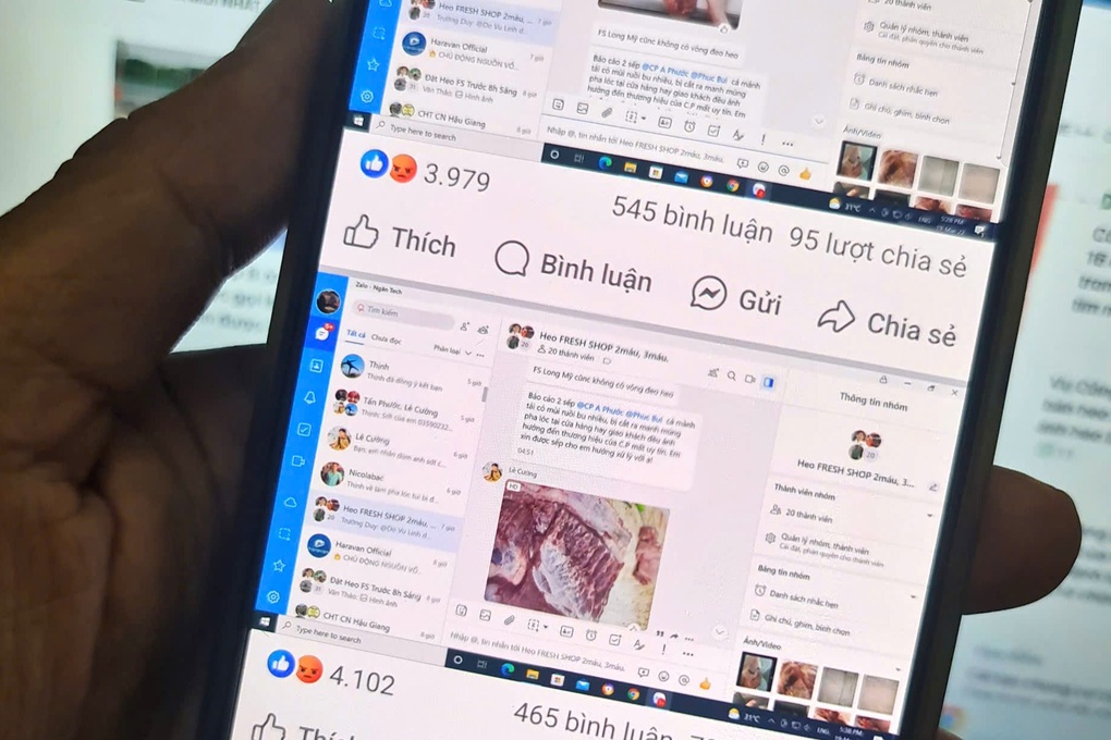 Người từng quản lý chi nhánh C.P. ở Hậu Giang nói gì về phản ánh heo bệnh? - 2 Người từng quản lý chi nhánh C.P. ở Hậu Giang nói gì về phản ánh heo bệnh? - 2