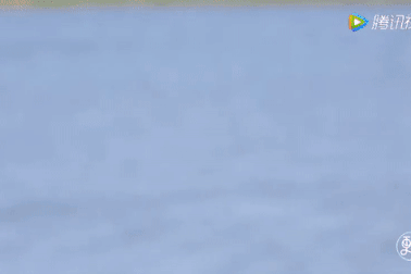 Cụ ông 20 năm lái xe đưa vợ bị ung thư chu du khắp nơi