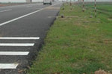 Quốc hội Nhật yêu cầu điều tra về vụ PMU18