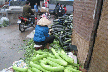 Nguyên liệu mứt Tết lăn lóc trên nền đất bẩn