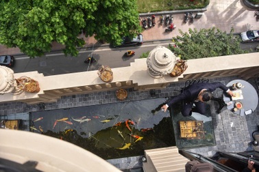 Đại gia Hà Nội chi 5 tỷ đồng xây bể cá Koi trong căn biệt thự giữa phố cổ