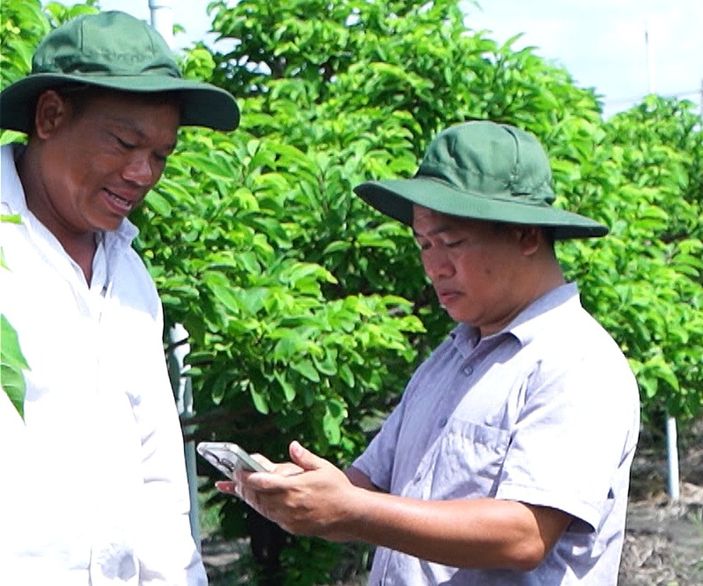 Phân bón Cà Mau đẩy mạnh chuyển đổi số để đồng hành bền vững cùng nông dân - 1 Phân bón Cà Mau đẩy mạnh chuyển đổi số để đồng hành bền vững cùng nông dân - 1