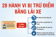 28 lỗi vi phạm có thể bị trừ điểm trong giấy phép lái xe