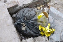 Hà Nội: Phát hiện xác thai nhi vứt trong thùng rác