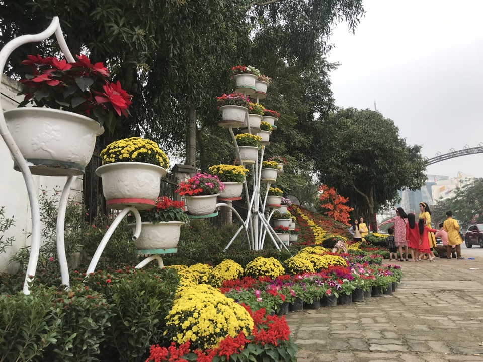 Ấn tượng những đường hoa rực rỡ sắc màu đón Tết ở thành Vinh  - 13