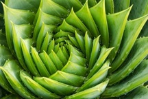 Tia UV ở ngưỡng nguy hại, làm thế nào để điều trị bỏng nắng?