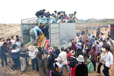 Chỉ đạo xử lí nghiêm vụ cướp gà tiêu hủy