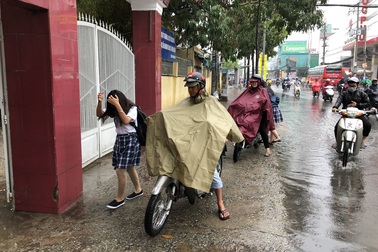 Cơn mưa trái mùa xoa dịu Sài Gòn