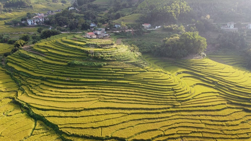 Về vùng cao Tiên Yên ở Quảng Ninh ngắm mùa vàng rực rỡ - 1 Về vùng cao Tiên Yên ở Quảng Ninh ngắm mùa vàng rực rỡ - 1