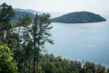 Đà Nẵng chuyển mục đích gần 80ha đất rừng trồng sang làm dự án