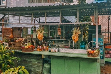 Chàng bếp phó "bỏ phố về rừng" dựng nhà vườn ở Đà Lạt